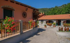 01234 - Agriturismo La Marpea, Esperienza In Mezzo Alla Natura E Al Cibo Tipico Italiano