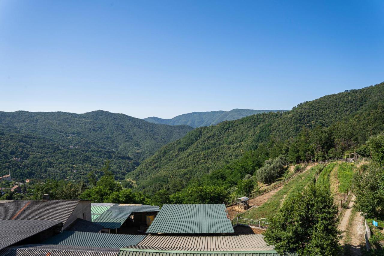 Villa 01234 - Agriturismo La Marpea, Esperienza In Mezzo Alla Natura E Al Cibo Tipico Italiano Terisso Exterior foto